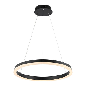 Baxter Modern Contemporary Aluminum Integrated LED Hoop Pendant